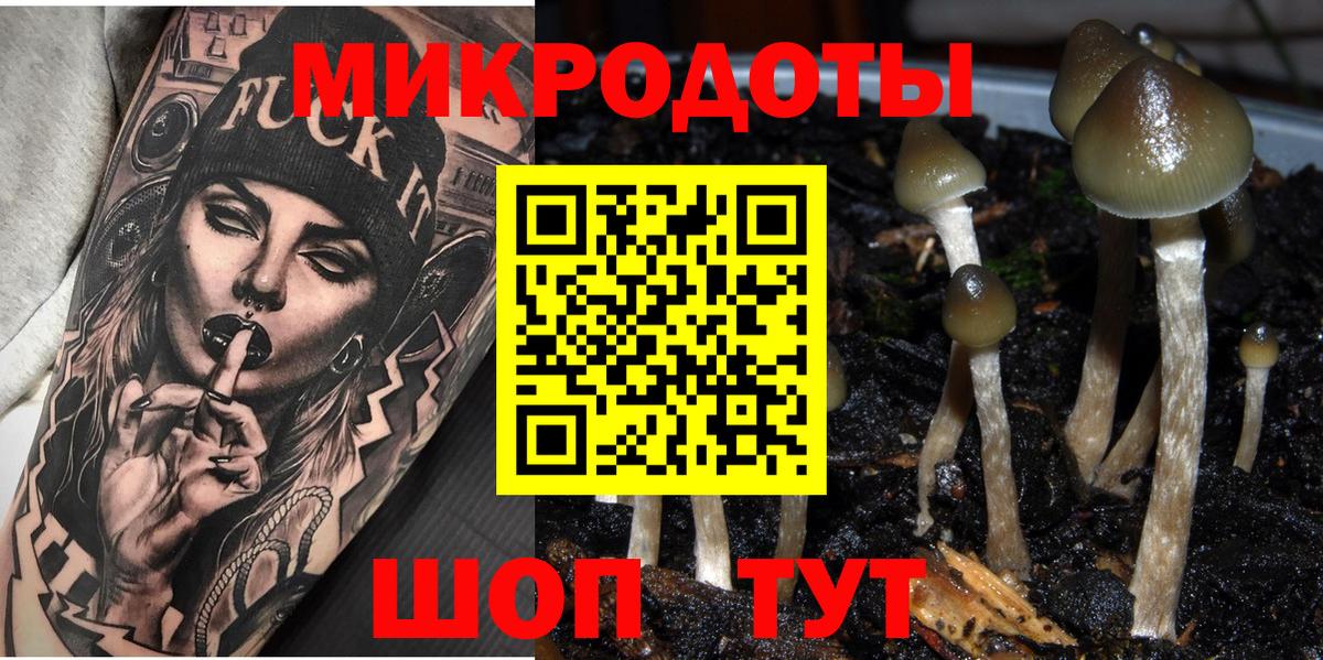 Галлюциногенные грибы мицелий Пушкино