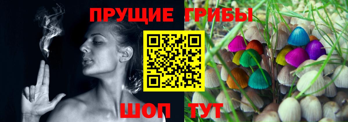 Пушкино  Галлюциногенные грибы Magic Shrooms  Галлюциногенные грибы ЛСД  Вход с VPN 